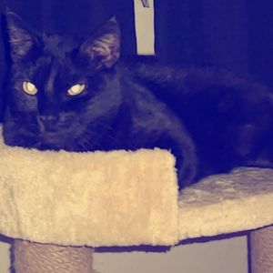 Meet your Posher, Barbara